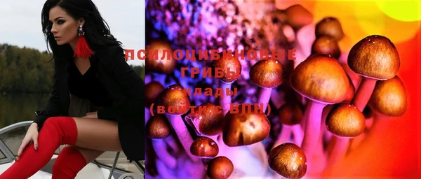 бошки Михайловск