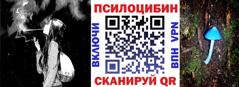 это как зайти  Снежинск  Псилоцибиновые грибы Psilocybe  закладка 